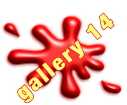 Gallery 14